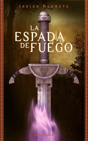 Cover of the book La Espada de Fuego by Andrés González, Rocío Orsi Portalo