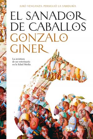 Cover of the book El sanador de caballos by Javier Negrete