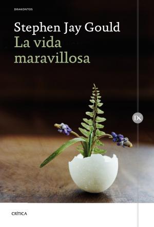Book cover of La vida maravillosa
