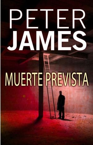 Cover of the book Muerte prevista by Noelia Amarillo