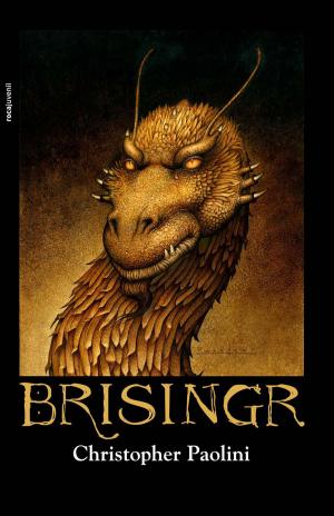 Book cover of Brisingr