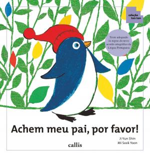Cover of the book Achem meu pai, por favor by Ann Rachlin