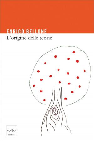 Cover of the book L’origine delle teorie by Carlo Bernardini