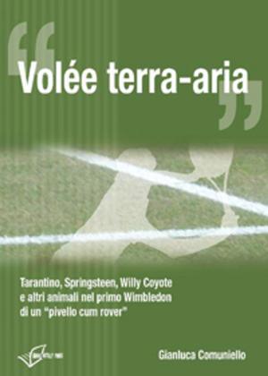 Cover of the book Volée terra-aria by Matt Zemek