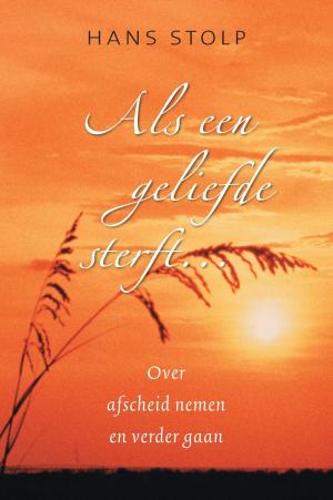 Cover of the book Als een geliefde sterft ... by Cis Meijer