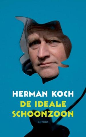 bigCover of the book De ideale schoonzoon by 