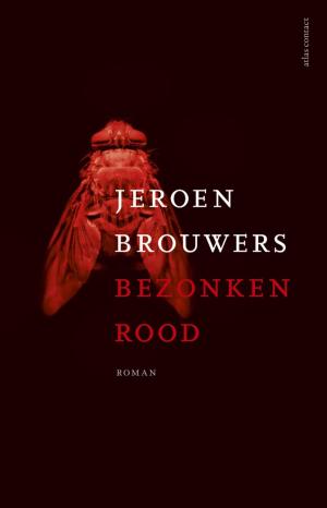 Cover of the book Bezonken rood by Jeroen Brouwers