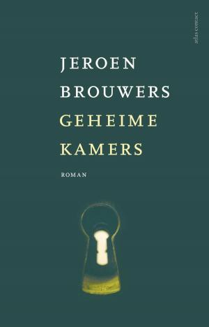 Cover of the book Geheime kamers by Wouter van Bergen