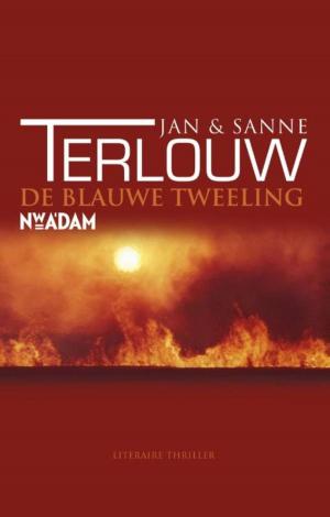 Cover of the book De blauwe tweeling by Simon Sebag Montefiore