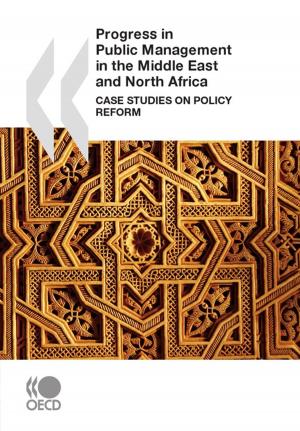 Cover of the book Progress in Public Management in the Middle East and North Africa by Collectif