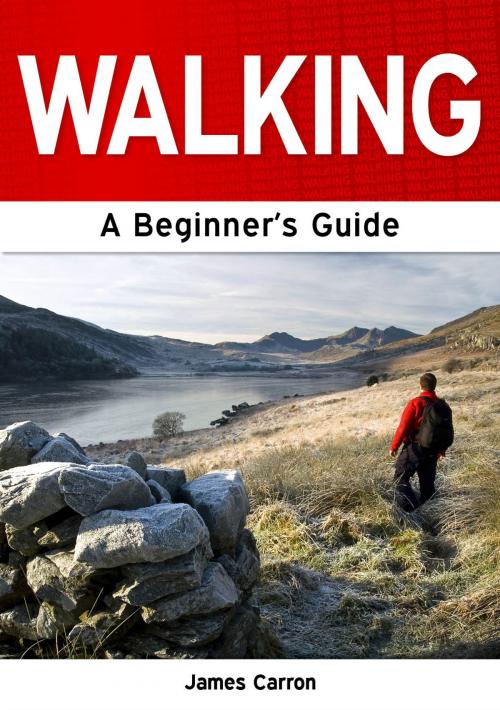 Cover of the book Walking: A Beginner's Guide by James Carron, Need2Know Books