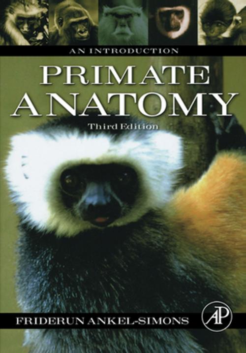 Cover of the book Primate Anatomy by Friderun Ankel-Simons, Elsevier Science
