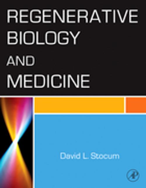 Cover of the book Regenerative Biology and Medicine by David L. Stocum, Elsevier Science