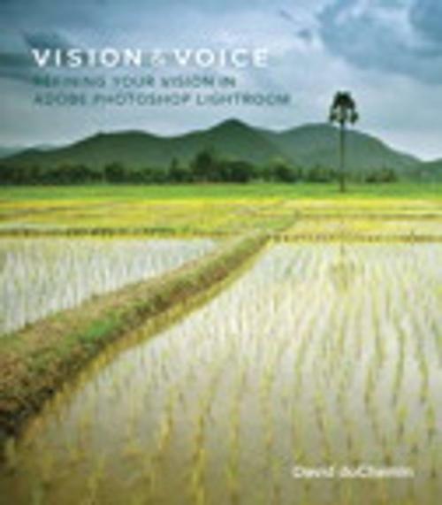 Cover of the book Vision & Voice by David duChemin, Pearson Education
