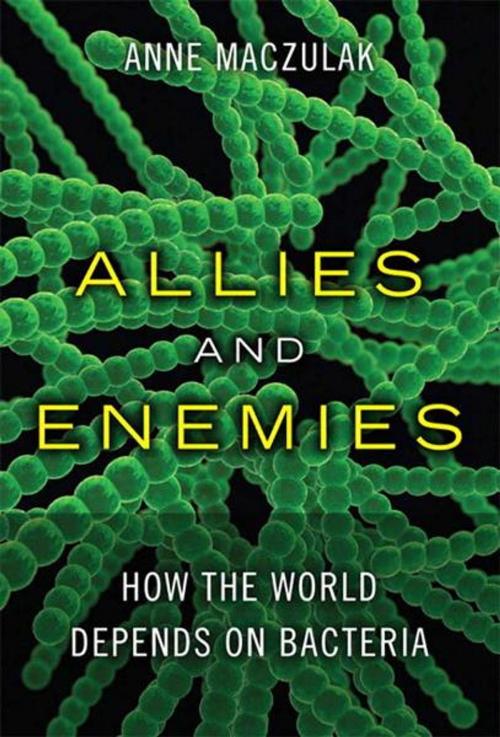 Cover of the book Allies and Enemies by Anne Maczulak, Pearson Education