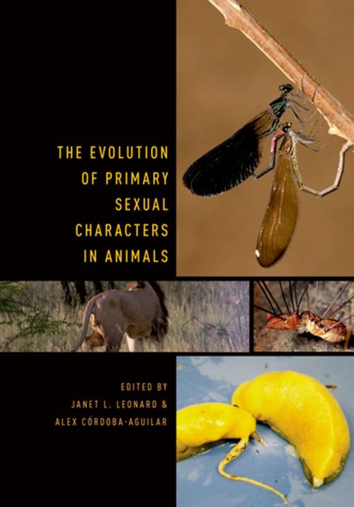 Cover of the book The Evolution of Primary Sexual Characters in Animals by , Oxford University Press
