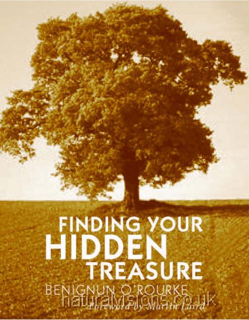 Cover of the book Finding Your Hidden Treasure: The Way of Silent Prayer by Benignus O'Rourke, Darton, Longman & Todd LTD