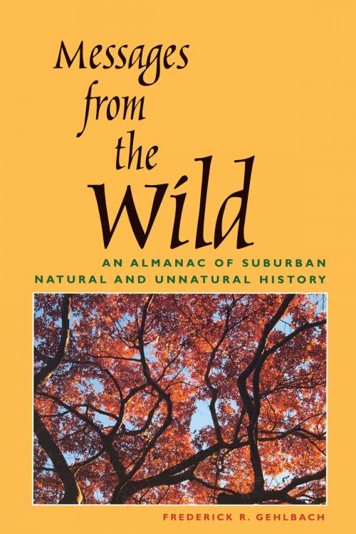 Cover of the book Messages from the Wild by Frederick R. Gehlbach, University of Texas Press