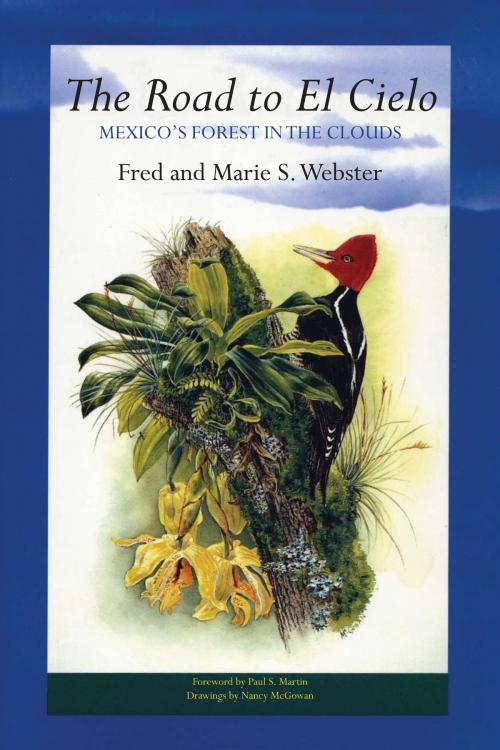 Cover of the book The Road to El Cielo by Fred Webster, Marie S. Webster, University of Texas Press