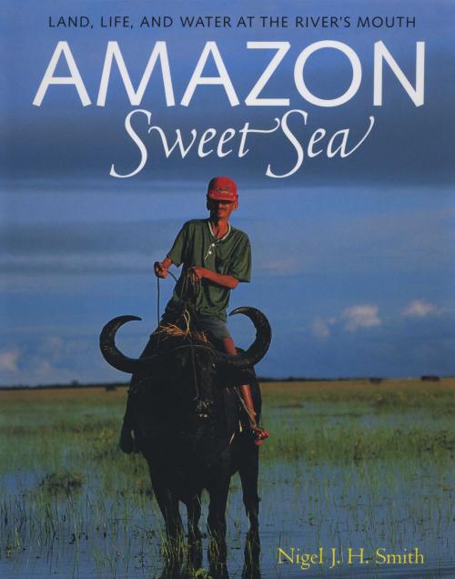 Cover of the book Amazon Sweet Sea by Nigel J. H. Smith, University of Texas Press