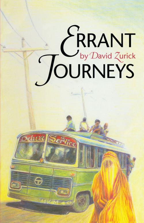 Cover of the book Errant Journeys by David Zurick, Tim  Krasnansky, University of Texas Press