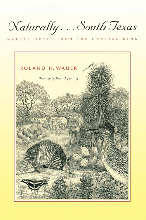 Cover of the book Naturally . . . South Texas by Roland H. Wauer, University of Texas Press