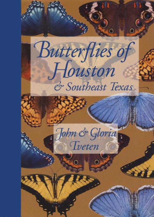 Cover of the book Butterflies of Houston and Southeast Texas by John  Tveten, Gloria Tveten, University of Texas Press