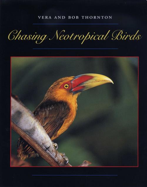 Cover of the book Chasing Neotropical Birds by Bob Thornton, Vera Thornton, University of Texas Press