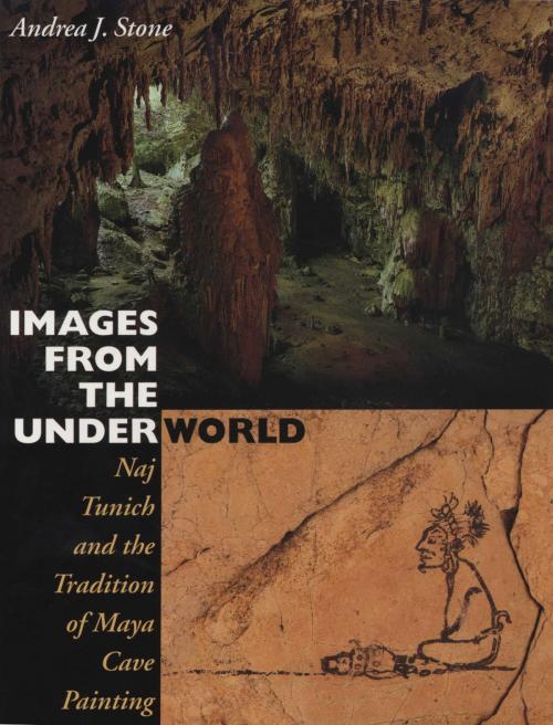 Cover of the book Images from the Underworld by Andrea J. Stone, University of Texas Press