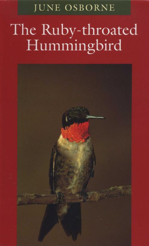 Cover of the book The Ruby-throated Hummingbird by June Osborne, University of Texas Press