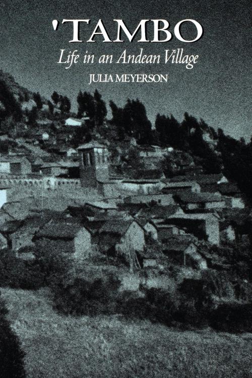Cover of the book Tambo by Julia Meyerson, University of Texas Press