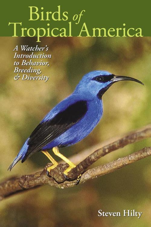 Cover of the book Birds of Tropical America by Steven Hilty, University of Texas Press
