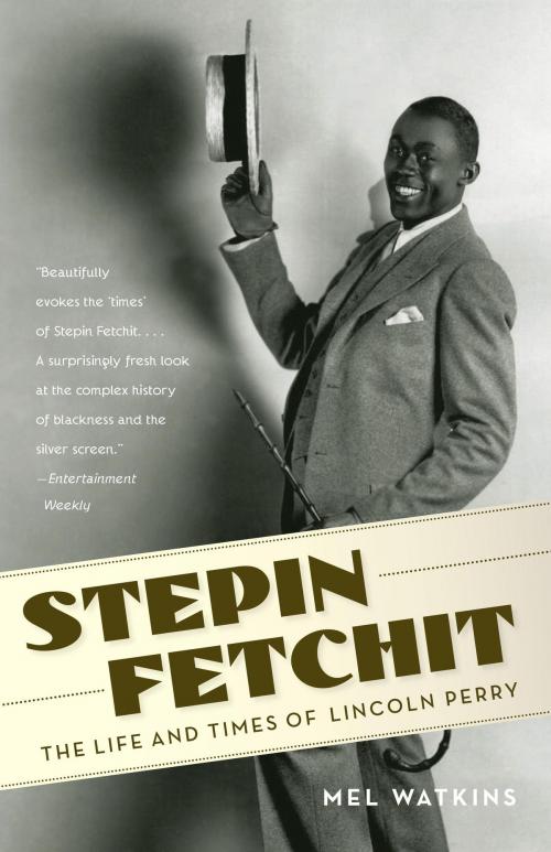 Cover of the book Stepin Fetchit by Mel Watkins, Knopf Doubleday Publishing Group