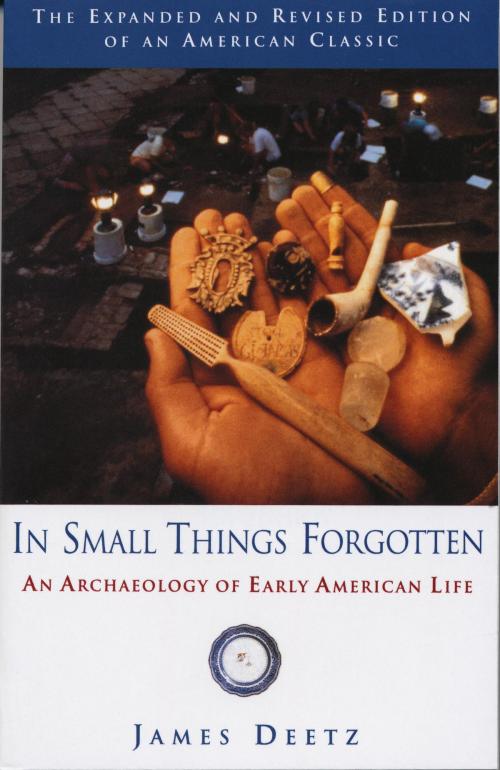 Cover of the book In Small Things Forgotten by James Deetz, Knopf Doubleday Publishing Group