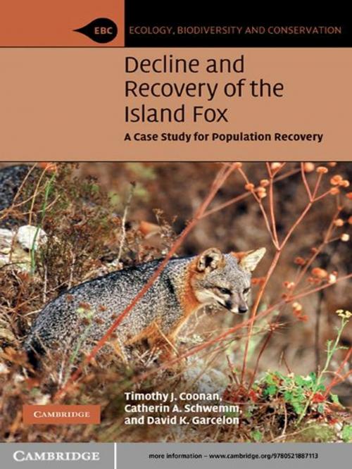 Cover of the book Decline and Recovery of the Island Fox by Timothy J. Coonan, Catherin A. Schwemm, David K. Garcelon, Cambridge University Press