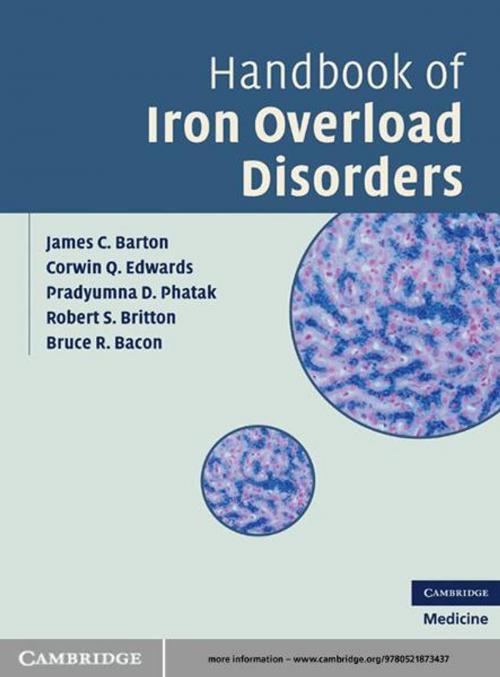 Cover of the book Handbook of Iron Overload Disorders by James C. Barton, Corwin Q. Edwards, Pradyumna D. Phatak, Robert S. Britton, Bruce R. Bacon, Cambridge University Press