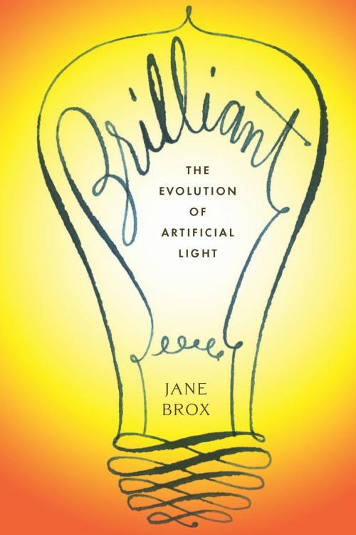 Cover of the book Brilliant by Jane Brox, HMH Books