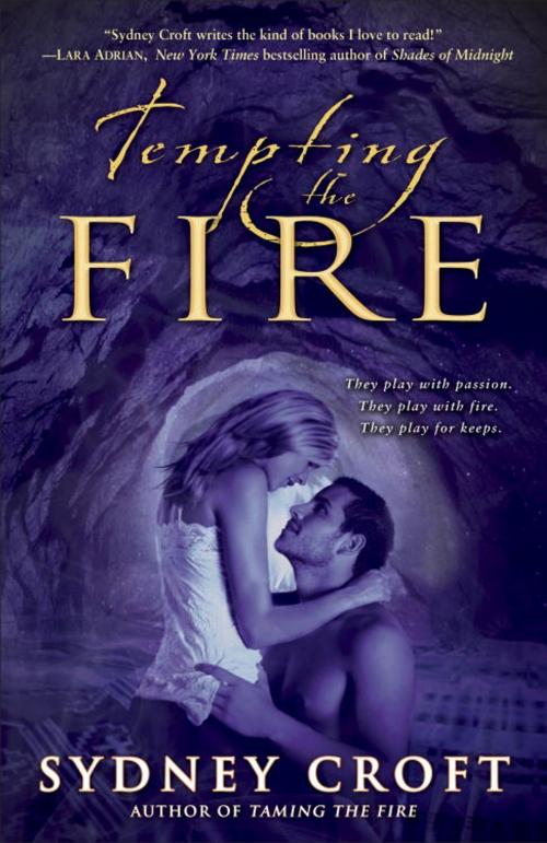Cover of the book Tempting the Fire by Sydney Croft, Random House Publishing Group