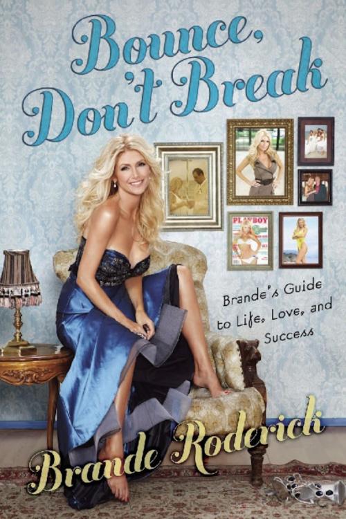 Cover of the book Bounce, Don't Break by Brande Roderick, Running Press