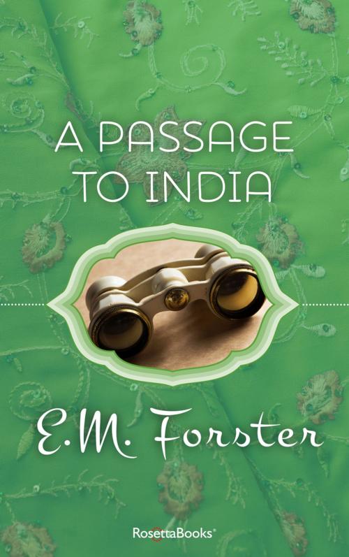 Cover of the book A Passage to India by E M Forster, RosettaBooks