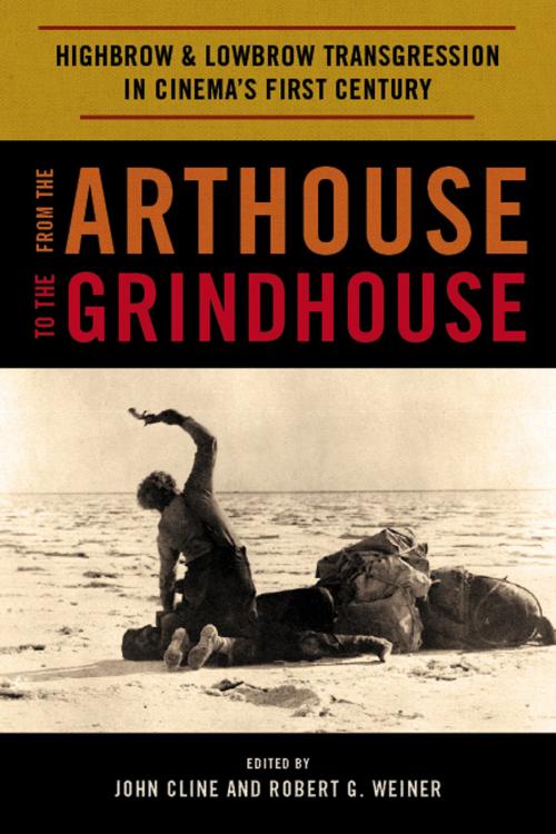 Cover of the book From the Arthouse to the Grindhouse by , Scarecrow Press