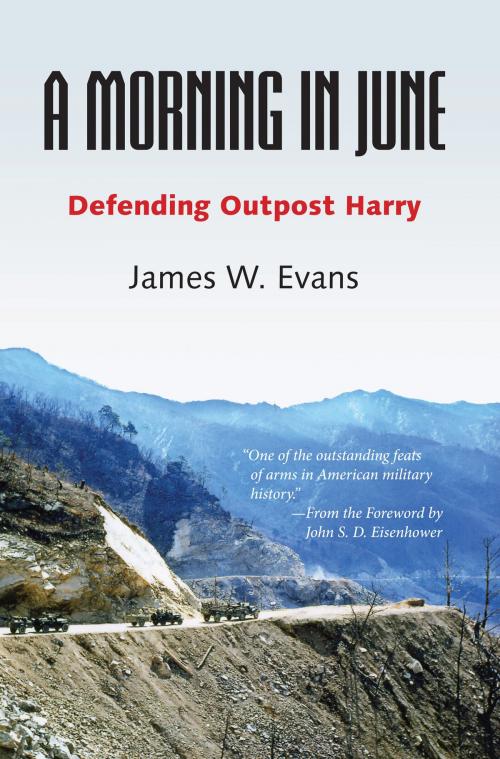 Cover of the book A Morning in June by James W. Evans, University of Alabama Press