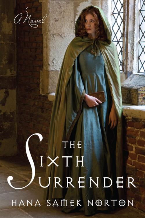 Cover of the book The Sixth Surrender by Hana Samek Norton, Penguin Publishing Group