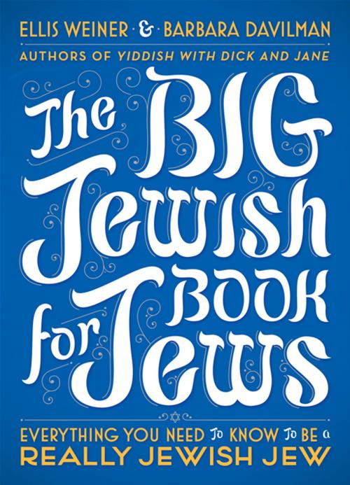 Cover of the book The Big Jewish Book for Jews by Ellis Weiner, Barbara Davilman, Penguin Publishing Group