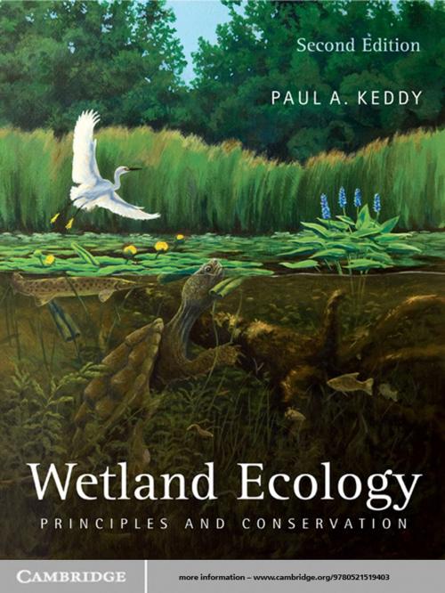 Cover of the book Wetland Ecology by Paul A. Keddy, Cambridge University Press