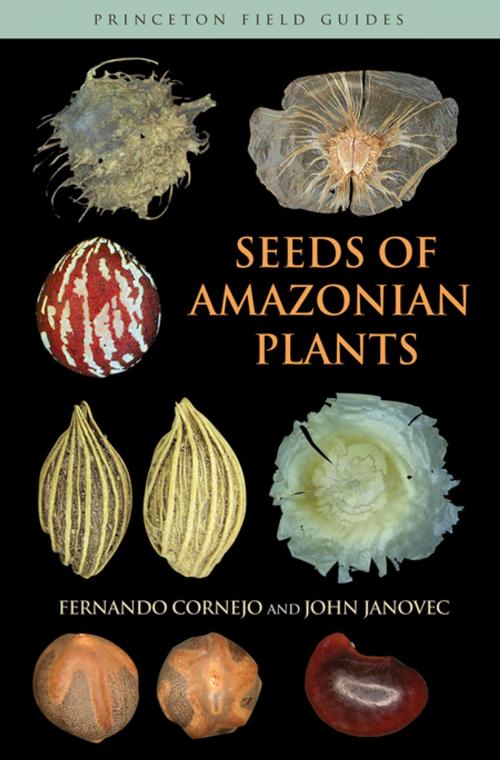 Cover of the book Seeds of Amazonian Plants by Fernando Cornejo, John Janovec, Princeton University Press