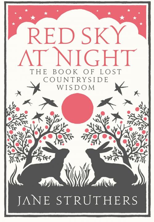 Cover of the book Red Sky at Night by Jane Struthers, Ebury Publishing