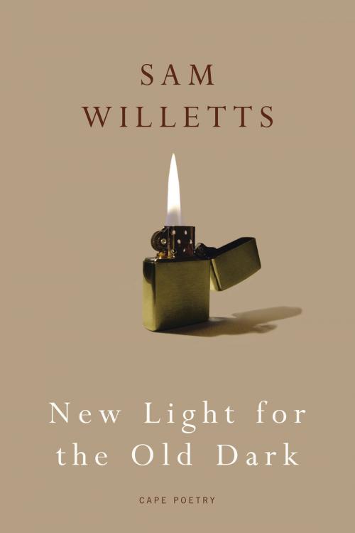Cover of the book New Light for the Old Dark by Sam Willetts, Random House