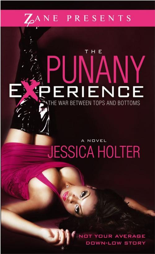 Cover of the book The Punany Experience by Jessica Holter, Strebor Books