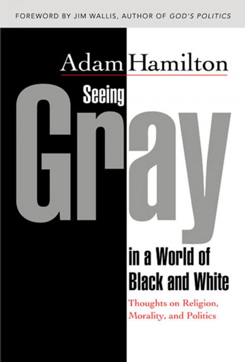 Cover of the book Seeing Gray in a World of Black and White by Adam Hamilton, Abingdon Press